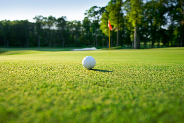 Sportsande - Golfball auf Grünem Rasen mit Bäumen im Hintergrund